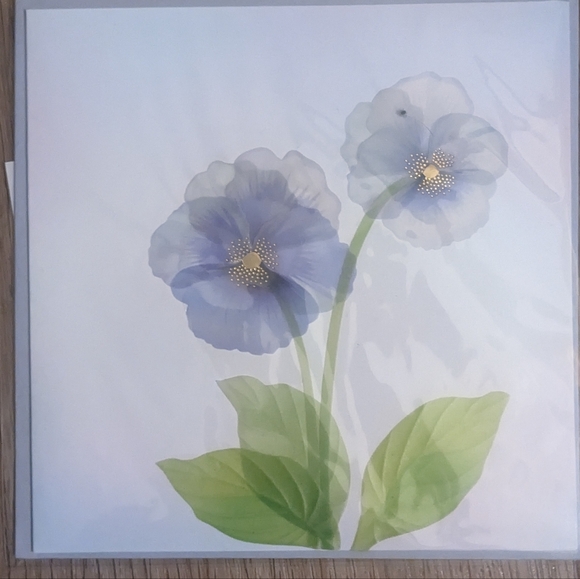 Papyrus Greeting Cards Happy Birthday Lot; 17 Assorted B-day Cards For All♀️♂️⚧️ - Picture 3 of 13